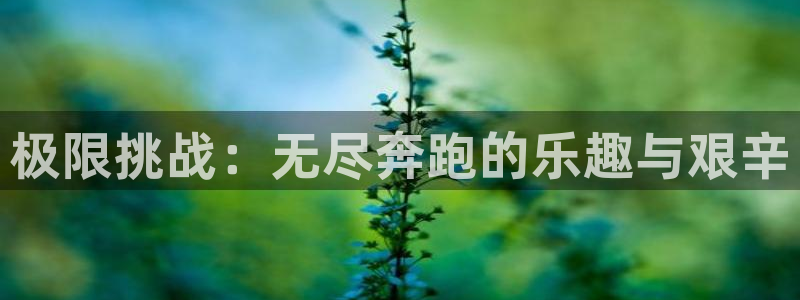 凯发官网下载是干嘛的公司：极限挑战：无尽奔跑的乐趣与