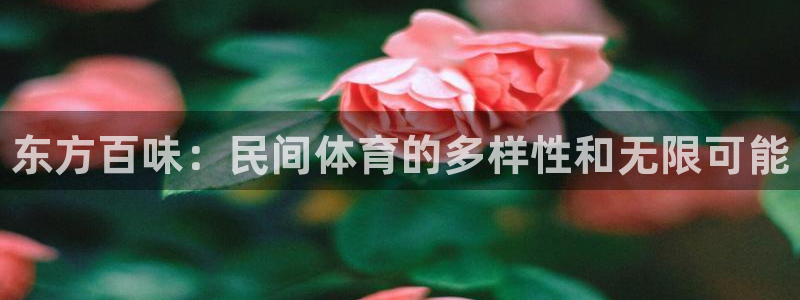 凯发官网下载招商：东方百味：民间体育的多样性和无限可