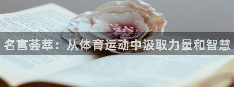 凯发官方正版app娱乐：名言荟萃：从体育运动中汲取力