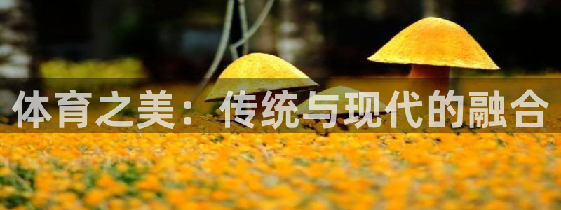 凯发官网下载平台APP：体育之美：传统与现代的融合