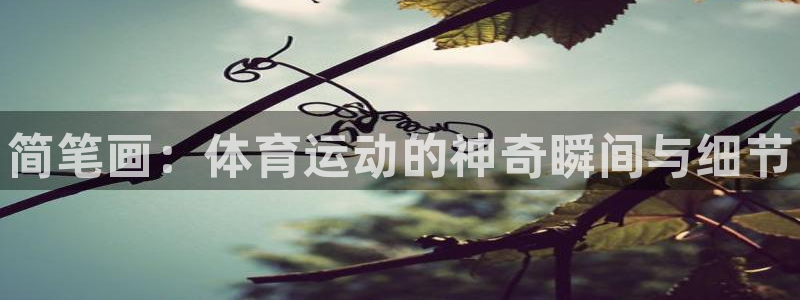凯发官方正版app娱乐首页官网下载：简笔画：体育运动