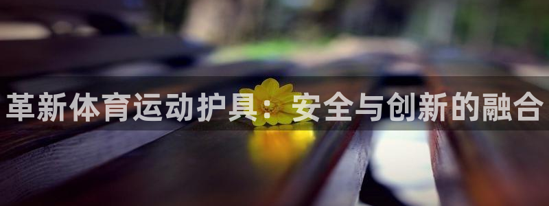 凯发官方正版app集团E.ON：革新体育运动护具：安