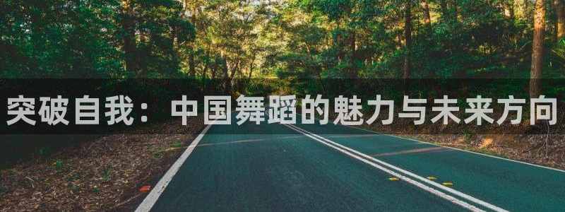 凯发官方正版app集团简介：突破自我：中国舞蹈的魅力与未来方