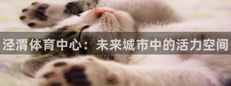 凯发官方正版app集团官网网址：泾渭体育中心：未来城