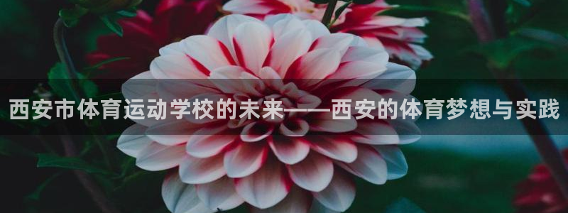 凯发官网下载平台：西安市体育运动学校的未来——西安的