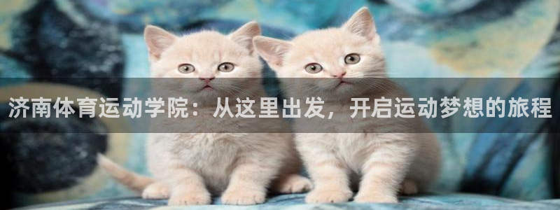 凯发官网下载平台是正规平台吗：济南体育运动学院：从这