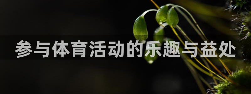 凯发官方正版app代理：参与体育活动的乐趣与益处