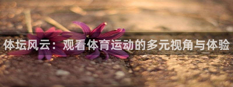 凯发官网下载招商电话地址查询：体坛风云：观看体育运动的多元视