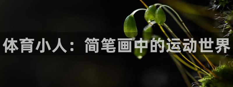 凯发官方正版app娱乐平台：体育小人：简笔画中的运动