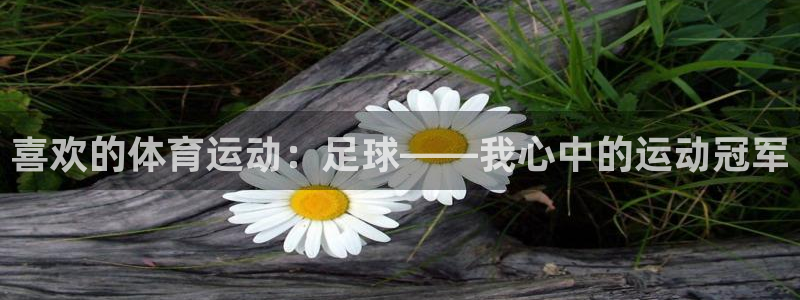 凯发官方正版app集团：喜欢的体育运动：足球——我心