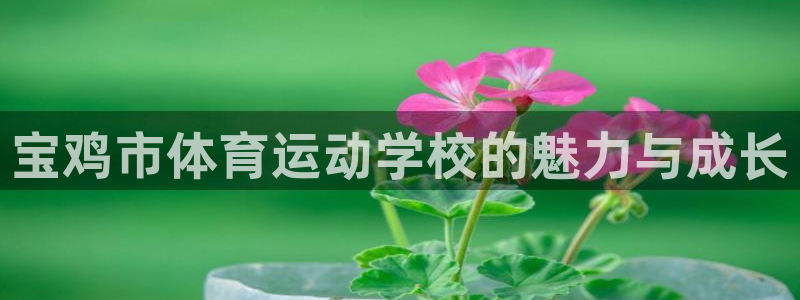 凯发官方正版app集团官网首页：宝鸡市体育运动学校的