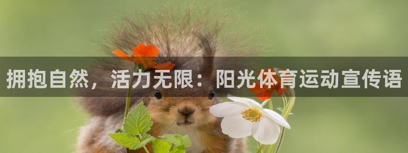 凯发官方集团官网：拥抱自然，活力无限：阳光体育运动宣传语