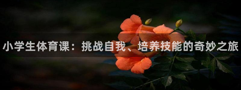 凯发官网下载招商：小学生体育课：挑战自我、培养技能的奇妙之旅