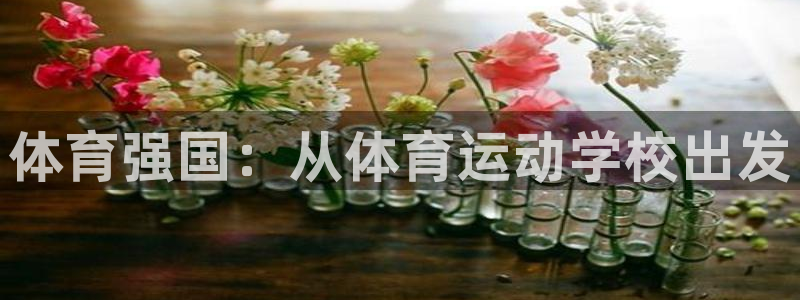 凯发官网下载平台注册要钱吗：体育强国：从体育运动学校出发