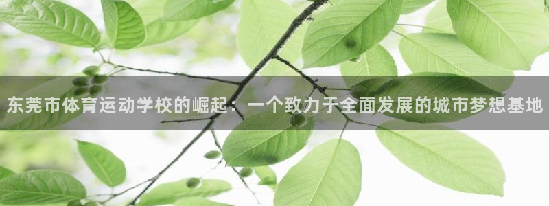 凯发官网下载软件：东莞市体育运动学校的崛起：一个致力于全面发