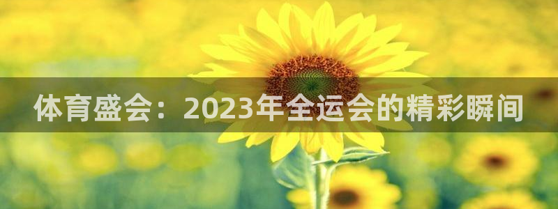 凯发官网下载官方客服电话：体育盛会：2023年全运会的精彩瞬