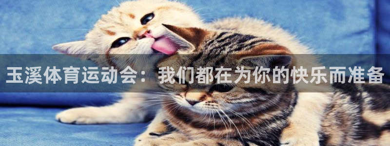 凯发官方正版app集团官网首页：玉溪体育运动会：我们都在为你