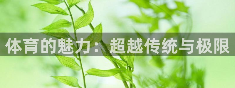 凯发官网下载招商电话号码是多少号