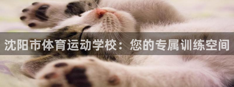 凯发官网下载招商电话号码是多少啊：沈阳市体育运动学校：您的专